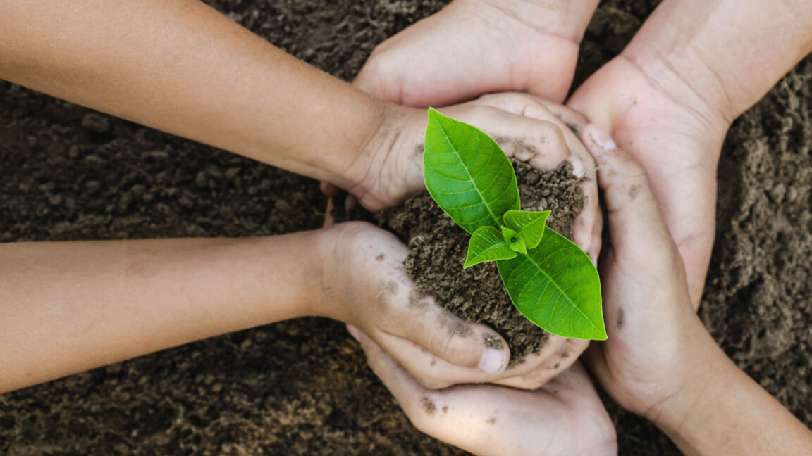 A group of hands holding a sprout out of the dirt